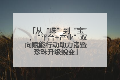从“珠”到“宝”，“平台+产业”双向赋能行动助力诸暨珍珠升级蜕变