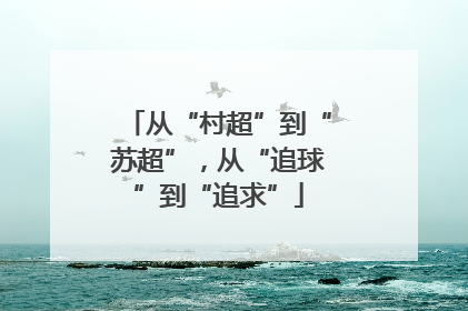 从“村超”到“苏超”，从“追球”到“追求”