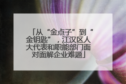 从“金点子”到“金钥匙”，江汉区人大代表和职能部门面对面解企业难题