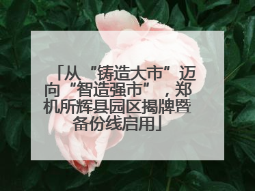 从“铸造大市”迈向“智造强市”，郑机所辉县园区揭牌暨备份线启用