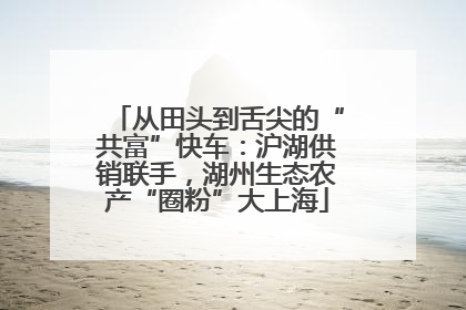 从田头到舌尖的“共富”快车：沪湖供销联手，湖州生态农产“圈粉”大上海