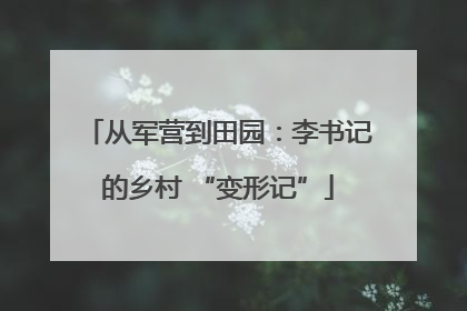 从军营到田园：李书记的乡村 “变形记”