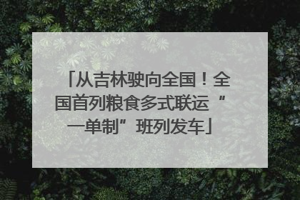 从吉林驶向全国！全国首列粮食多式联运“一单制”班列发车
