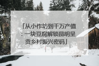 从小作坊到千万产值：一块豆腐解锁昆明呈贡乡村振兴密码