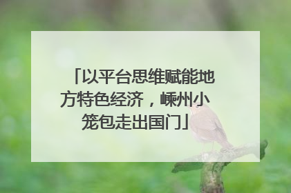 以平台思维赋能地方特色经济，嵊州小笼包走出国门