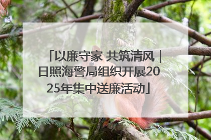 以廉守家 共筑清风｜日照海警局组织开展2025年集中送廉活动