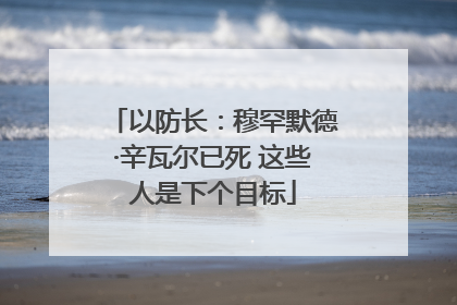 以防长：穆罕默德·辛瓦尔已死 这些人是下个目标