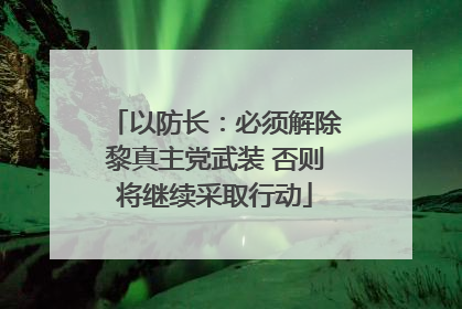 以防长：必须解除黎真主党武装 否则将继续采取行动