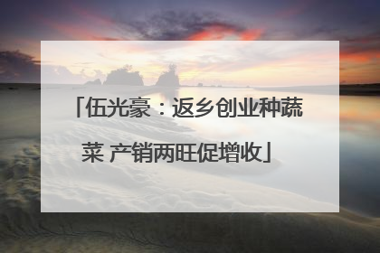 伍光豪：返乡创业种蔬菜 产销两旺促增收