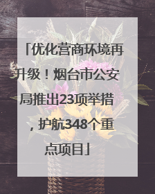 优化营商环境再升级！烟台市公安局推出23项举措，护航348个重点项目