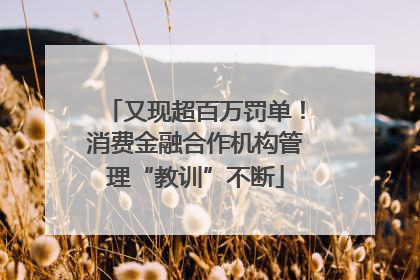 又现超百万罚单！消费金融合作机构管理“教训”不断