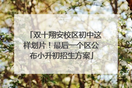 双十翔安校区初中这样划片！最后一个区公布小升初招生方案
