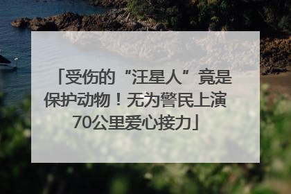 受伤的“汪星人”竟是保护动物！无为警民上演70公里爱心接力