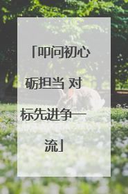 叩问初心砺担当 对标先进争一流