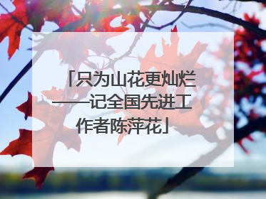 只为山花更灿烂——记全国先进工作者陈萍花
