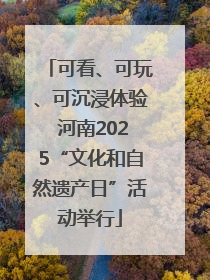 可看、可玩、可沉浸体验 河南2025“文化和自然遗产日”活动举行