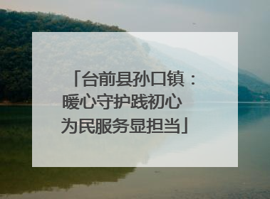 台前县孙口镇：暖心守护践初心 为民服务显担当