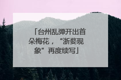 台州乱弹开出首朵梅花，“浙婺现象”再度续写