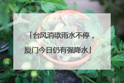 台风消歇雨水不停，厦门今日仍有强降水