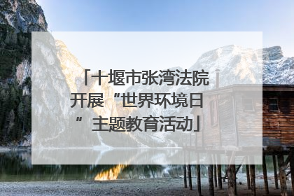 十堰市张湾法院开展“世界环境日”主题教育活动
