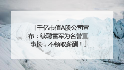 千亿市值A股公司宣布：续聘雷军为名誉董事长，不领取薪酬！