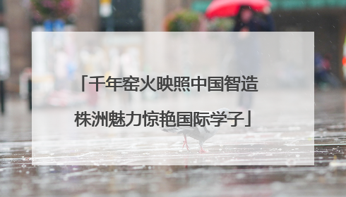 千年窑火映照中国智造 株洲魅力惊艳国际学子