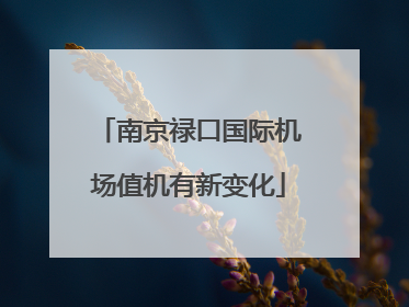 南京禄口国际机场值机有新变化
