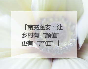 南充蓬安：让乡村有“颜值”更有“产值”