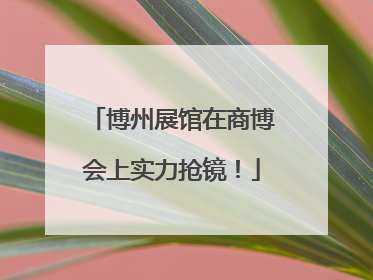 博州展馆在商博会上实力抢镜！