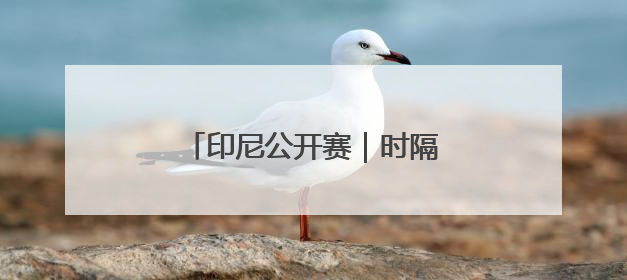 印尼公开赛｜时隔8年再夺女双冠军，国羽一金一银收官
