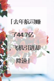 去年航司赚了44.7亿，飞机引进却降速