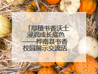 厚植书香沃土 浸润成长底色——桦南县书香校园展示交流活动圆满举行