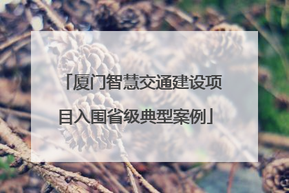 厦门智慧交通建设项目入围省级典型案例