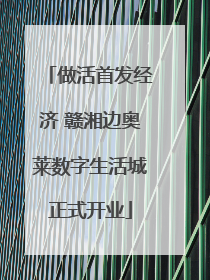 做活首发经济 赣湘边奥莱数字生活城正式开业