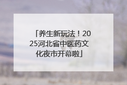 养生新玩法！2025河北省中医药文化夜市开幕啦