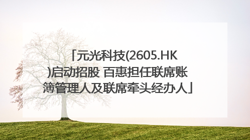 元光科技(2605.HK)启动招股 百惠担任联席账簿管理人及联席牵头经办人