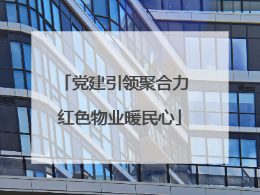 党建引领聚合力 红色物业暖民心