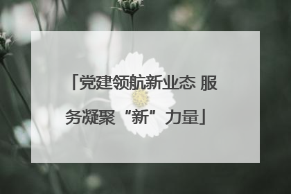 党建领航新业态 服务凝聚“新”力量