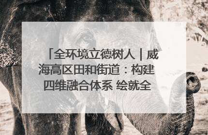 全环境立德树人｜威海高区田和街道：构建四维融合体系 绘就全环境立德树人新画卷