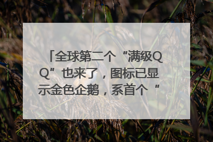 全球第二个“满级QQ”也来了，图标已显示金色企鹅，系首个“满级QQ”的小号