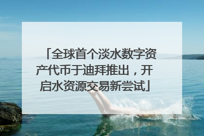 全球首个淡水数字资产代币于迪拜推出，开启水资源交易新尝试