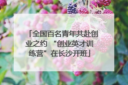 全国百名青年共赴创业之约 “创业英才训练营”在长沙开班