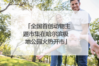 全国首创动物主题市集在哈尔滨极地公园火热开市