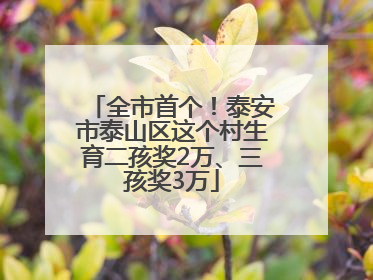 全市首个！泰安市泰山区这个村生育二孩奖2万、三孩奖3万