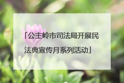 公主岭市司法局开展民法典宣传月系列活动
