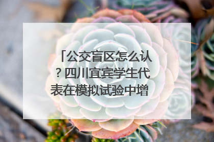 公交盲区怎么认？四川宜宾学生代表在模拟试验中增强乘车安全意识
