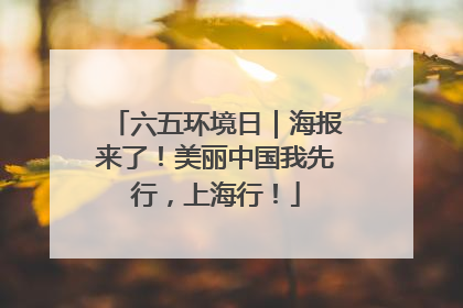 六五环境日｜海报来了！美丽中国我先行，上海行！