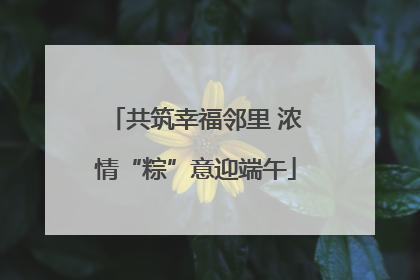 共筑幸福邻里 浓情“粽”意迎端午