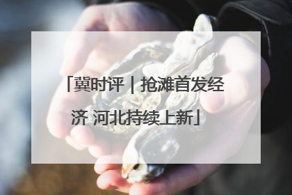 冀时评｜抢滩首发经济 河北持续上新