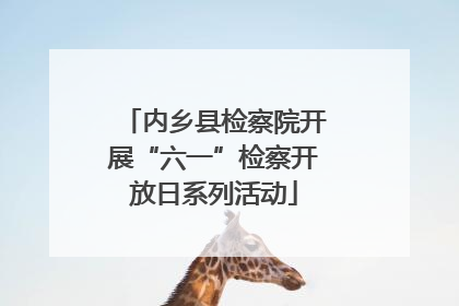 内乡县检察院开展“六一”检察开放日系列活动